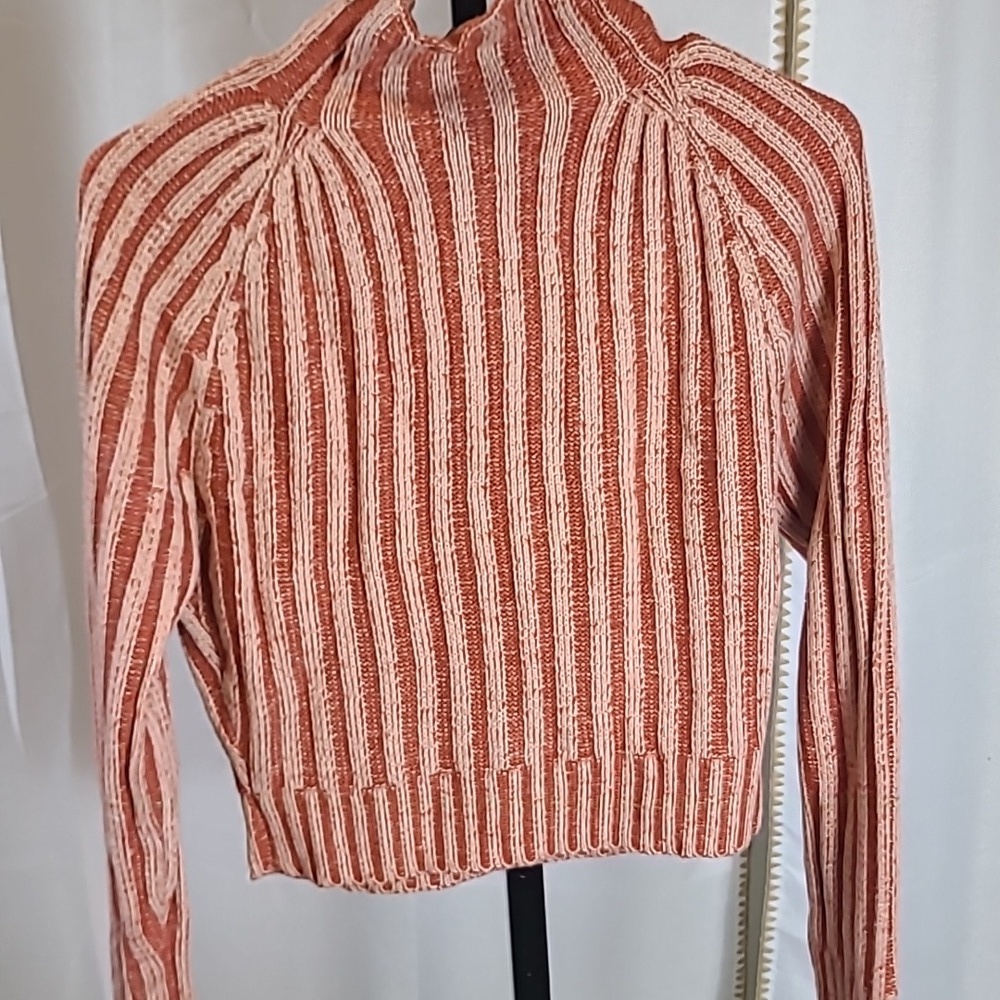 Fashion Nova Pumpkin Spice Cropped Sweater. New - Picture 5 of 5